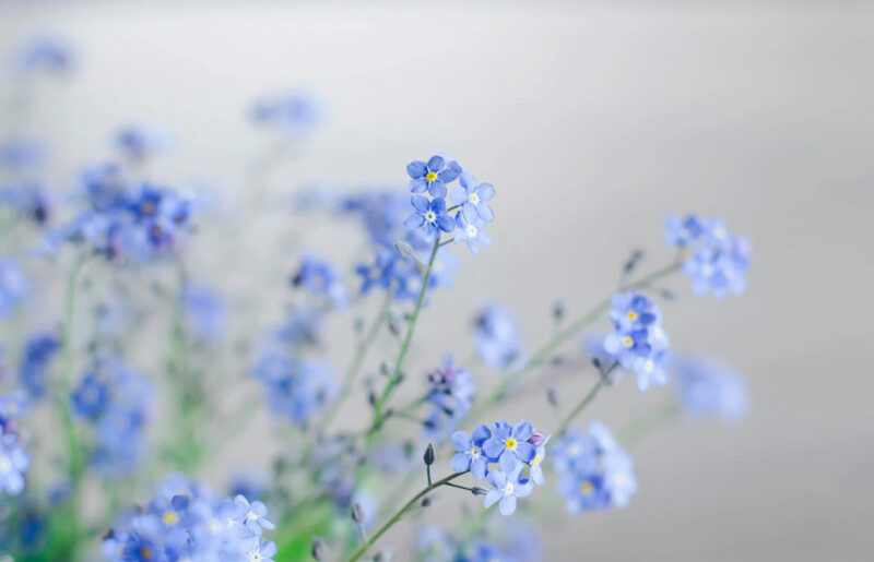 Complicated Grief Therapy in Anchorage, Alaska and Florida