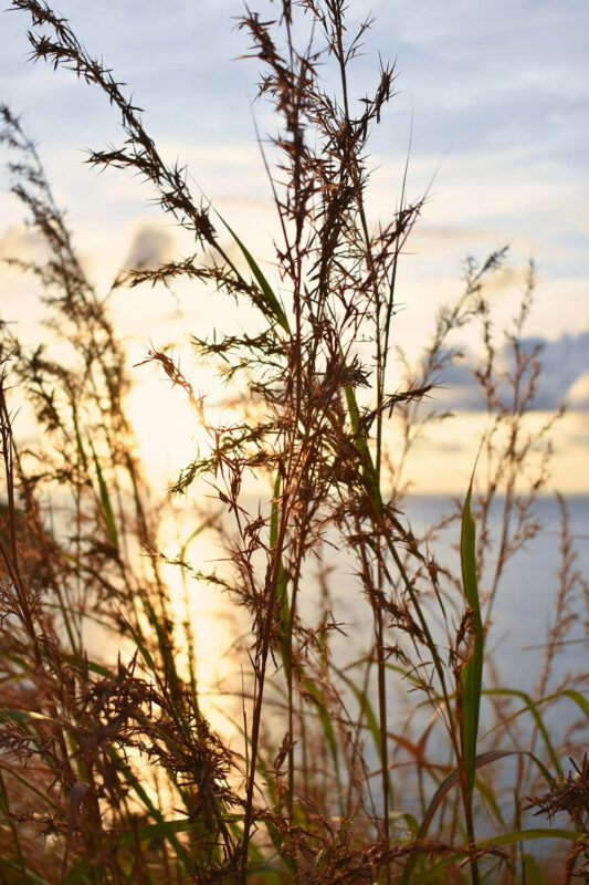 EMDR and Brainspotting Intensives with Mary Momoko Zielie, LPC of Anchorage, Alaska